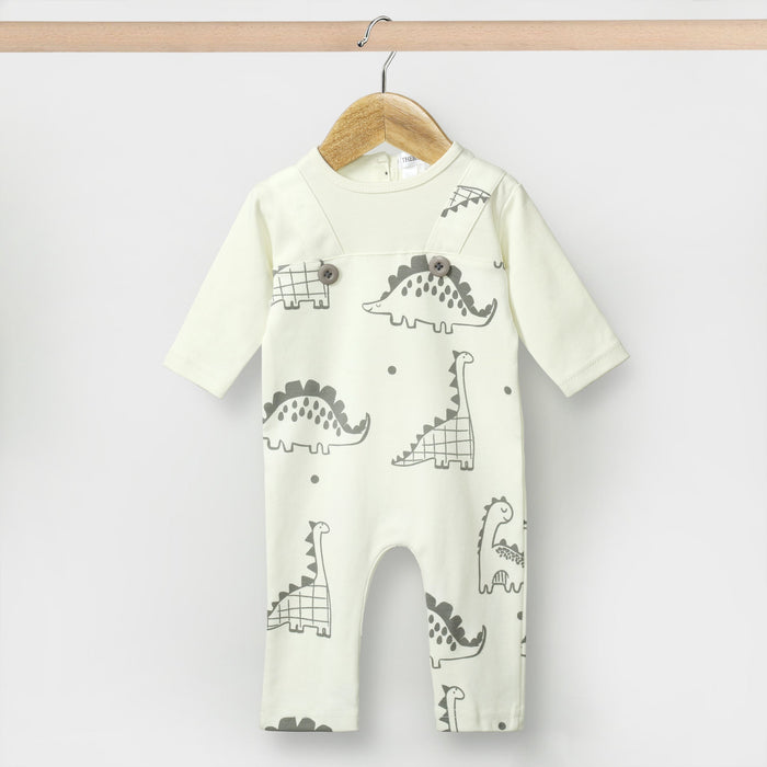 Dino Diaries Baby Rompers  (Pack of 3)