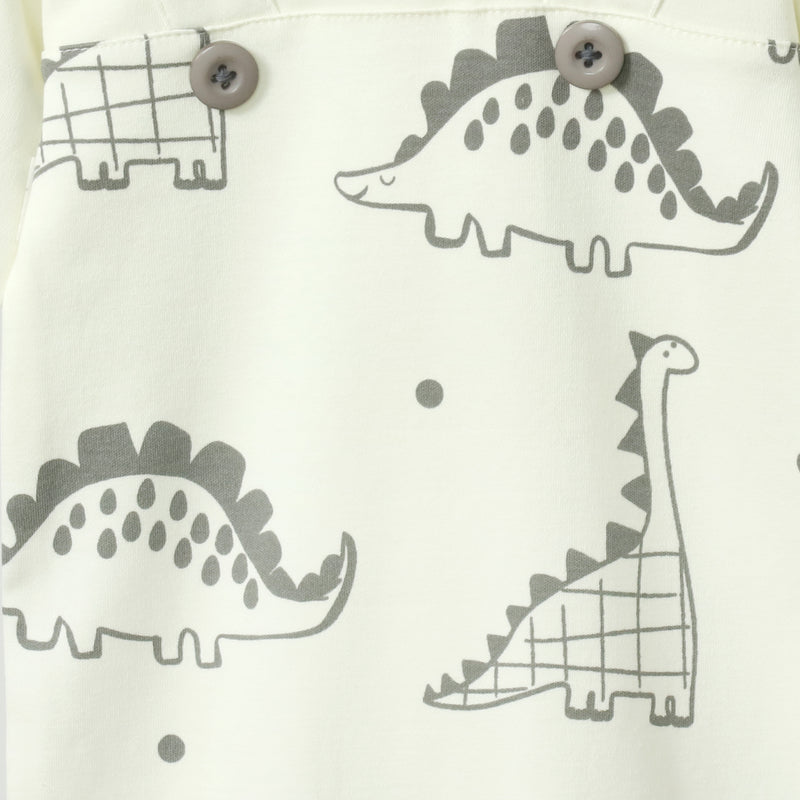 Dino Doodles Romper