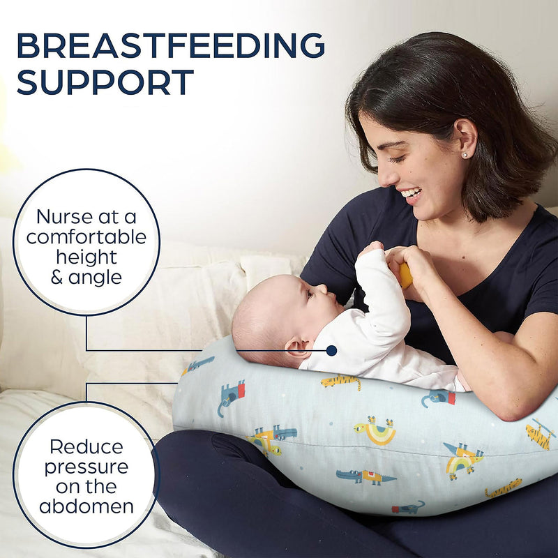 Dino Dreams Baby Nursing Pillow