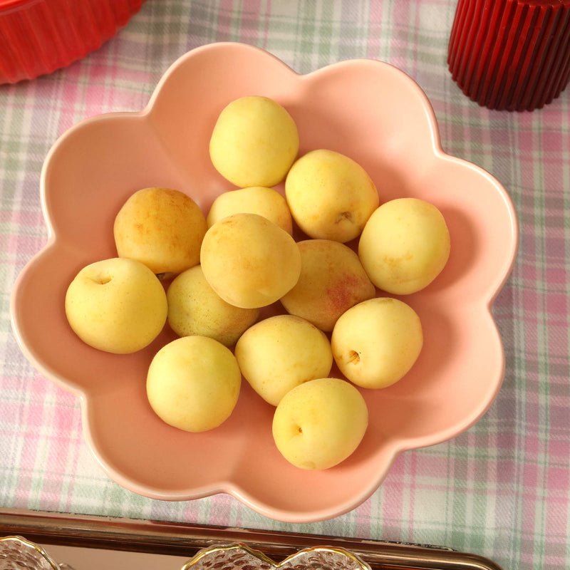 Pink Pastel Ceramic Bowl