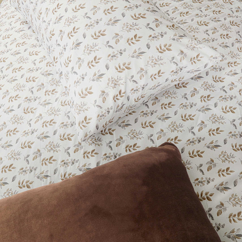 Mocha Embrace Printed Razaye Set-6pc