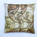 world globe zip cushion