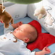 butterfly velvet head shaping cushion