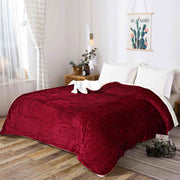 all seasons lines embossed sherpa ac blanket