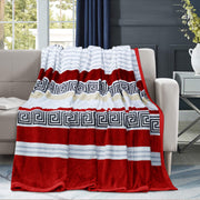 geo print embossed fleece blanket